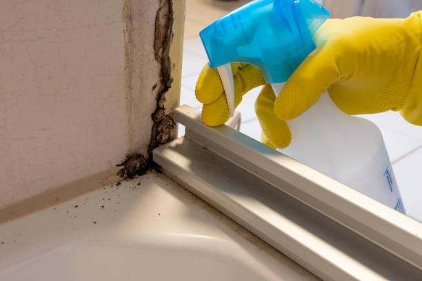 Best Emergency Mold Removal  in Eugene, OR