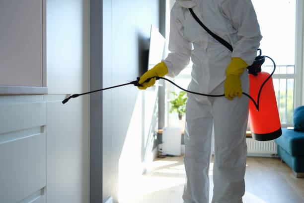 Best Mold Inspection  in Eugene, OR