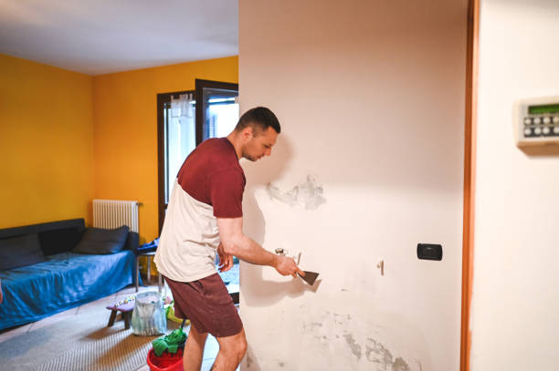 Best Mold Damage Repair  in Eugene, OR